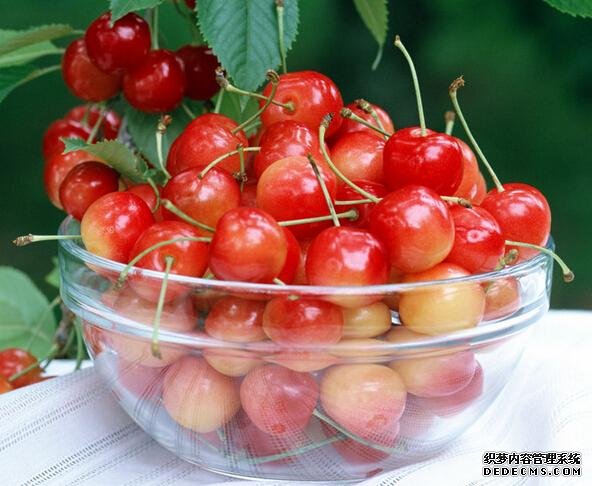 一瓶来自海拔2500米高原的樱桃酱,是如何征服广东吃货的