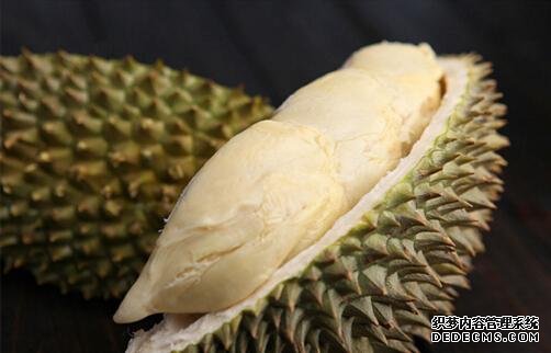 天了噜!广东惊现榴莲家族中的“爱马仕”