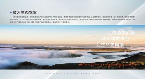 10480021797603155_5.jpg 10480021797603155_5.jpg